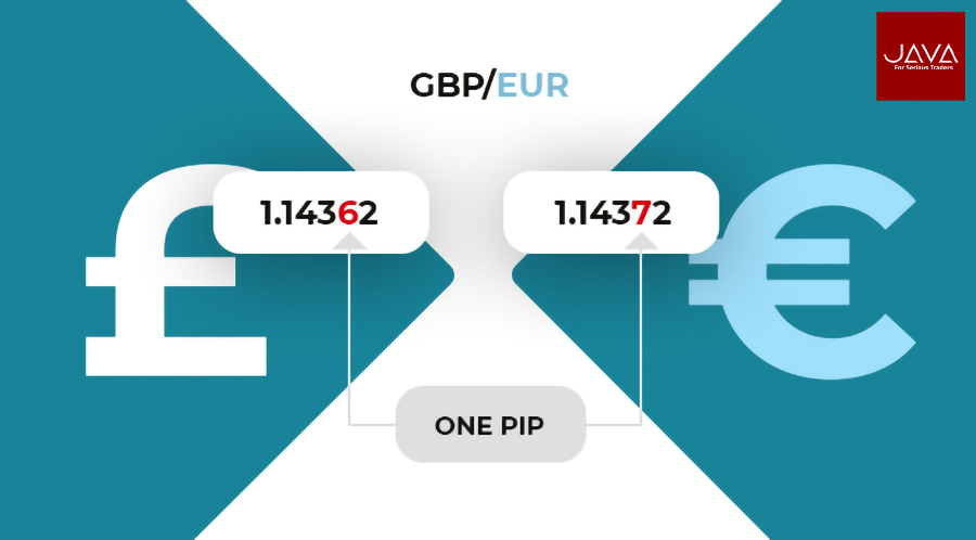 pengertian pips pada trading forex