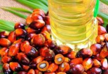 Indonesia Segera Punya Harga Acuan CPO Sendiri