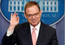 Ini Dia Calon Ketua Fed Yang Berpandangan Lebih Dovish Dari Powell Kevin Hassett calon ketua Fed 2026