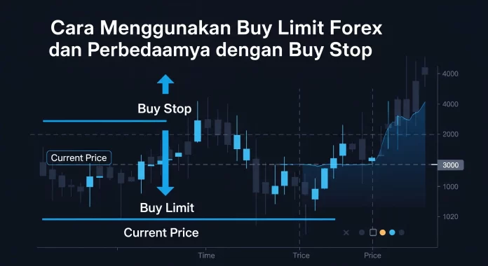 Cara menggunakan buy limit forex dan perbedaannya dengan buy stop pada grafik candlestick.
