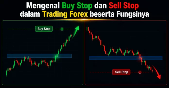 Mengenal Buy Stop dan Sell Stop dalam Trading Forex beserta Fungsinya Ilustrasi perbedaan buy stop dan sell stop pada trading forex.
