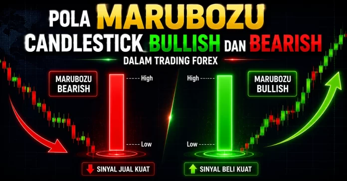 Ilustrasi pola marubozu bullish dan bearish dalam trading forex.